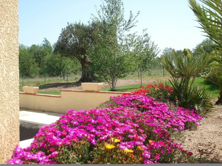 Gite Le Chalet Des Milles Et Un Chemins Castelnou Exterior foto